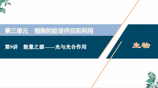 能量之源—光与光合作用课件新高考总复习生物
