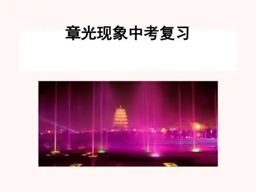 中考物理复习：光现象ppt 苏科版
