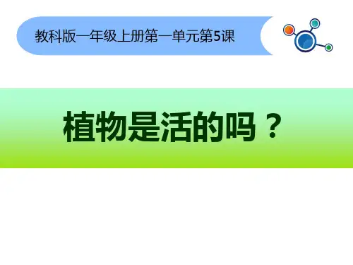 新编教科版小学一年级科学上册《植物是活的吗》精品课件