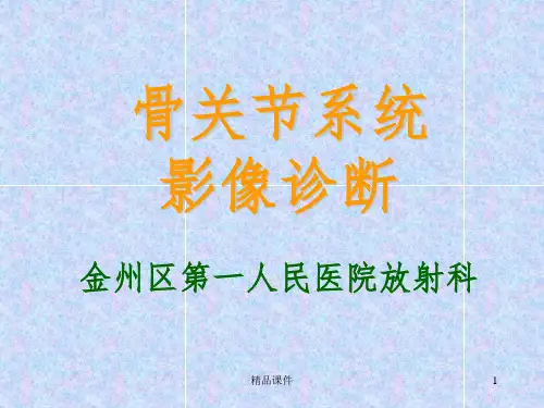 骨关节系统影像诊断PPT课件
