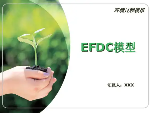 EFDC模型