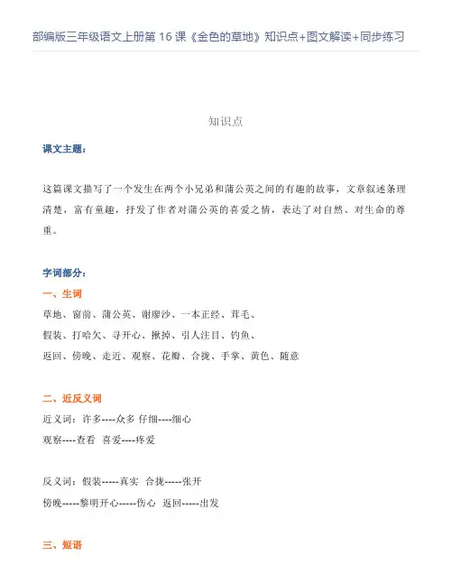 部编版三年级语文上册第16课《金色的草地》知识点+图文解读+同步练习