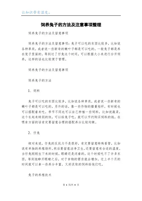 饲养兔子的方法及注意事项整理