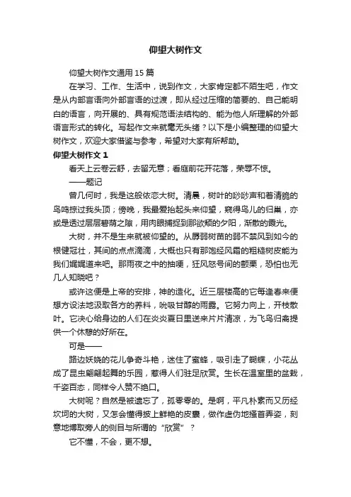 仰望大树作文