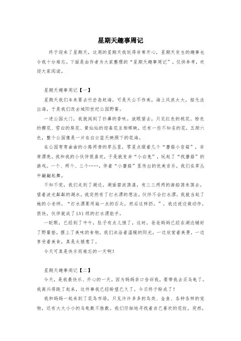 星期天趣事周记