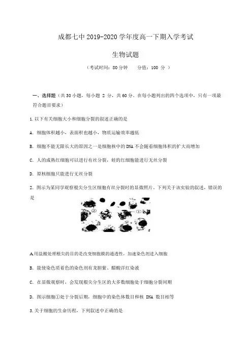 四川省成都市第七中学2019-2020学年高一下学期开学考试生物试题 Word版含答案