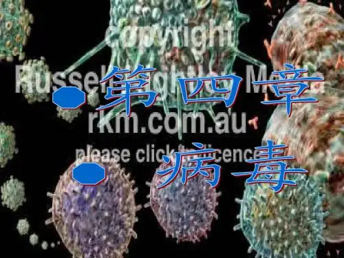 病毒