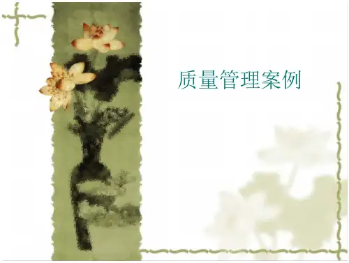 质量管理案例51-60(22页)