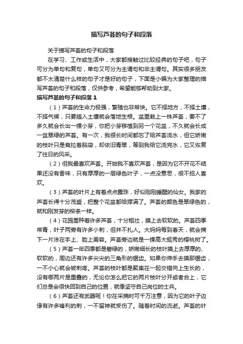 关于描写芦荟的句子和段落