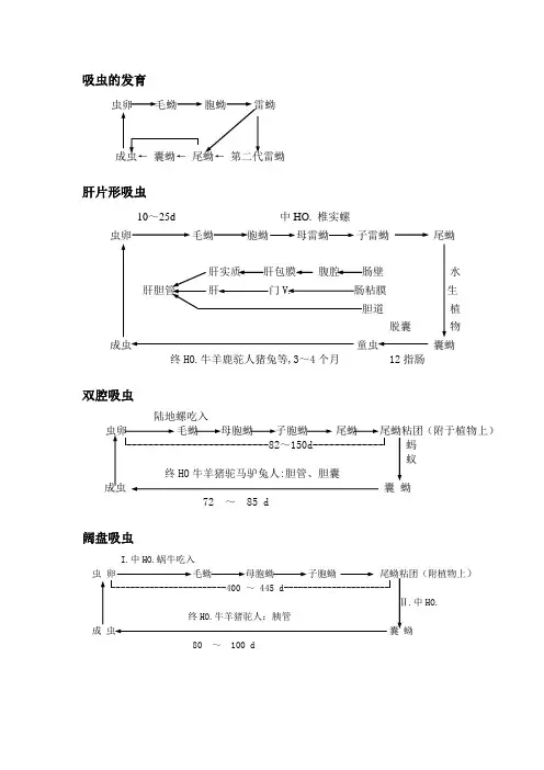 寄生虫生活史线条图及分类鉴别表
