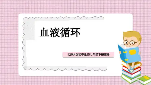 初中生物北师大版七年级下册《第9章第2节第1课时血液循环》课件PPT模板