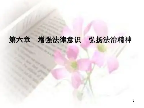 增强法律意识  宏扬法治精神PPT演示课件