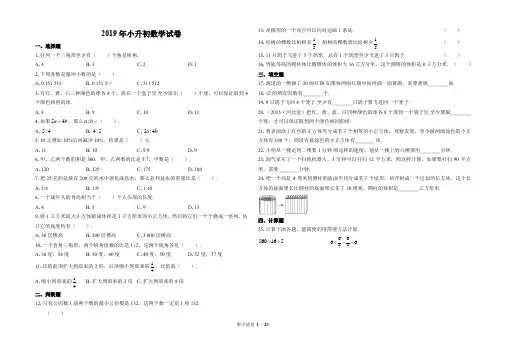 2019年小升初数学试卷及答案共9套