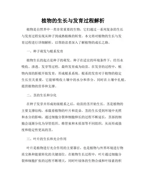 植物的生长与发育过程解析