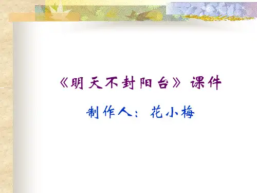 《明天不封阳台》ppt课件3