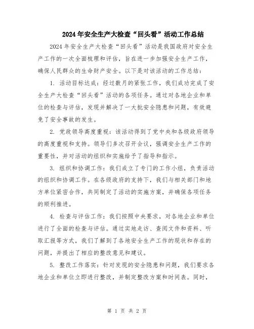 2024年安全生产大检查“回头看”活动工作总结