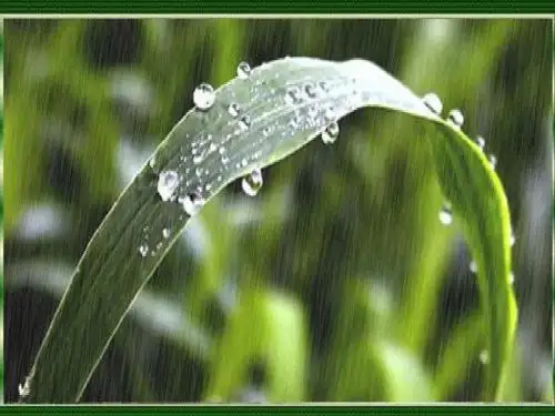 雨之歌学习教材PPT课件