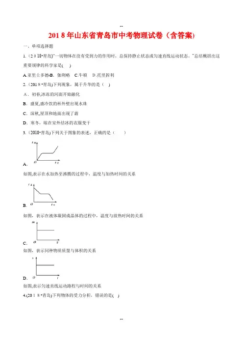 年山东省青岛市中考物理试卷(含答案Word)
