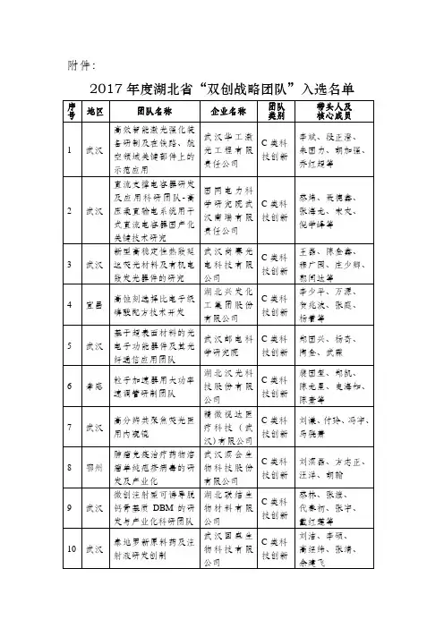 2017年度湖北省双创战略团队