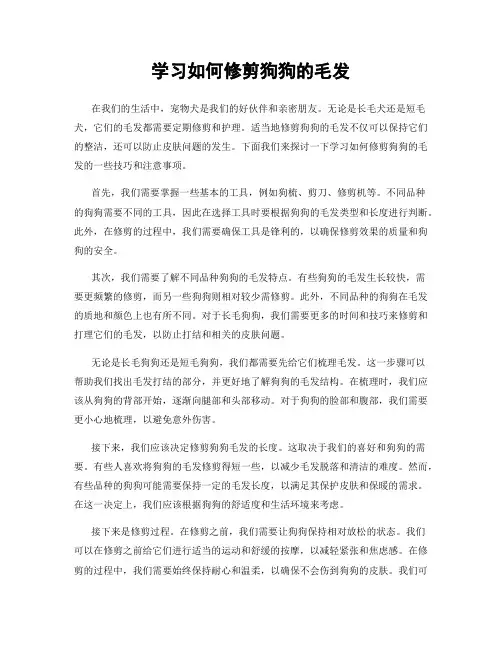 学习如何修剪狗狗的毛发