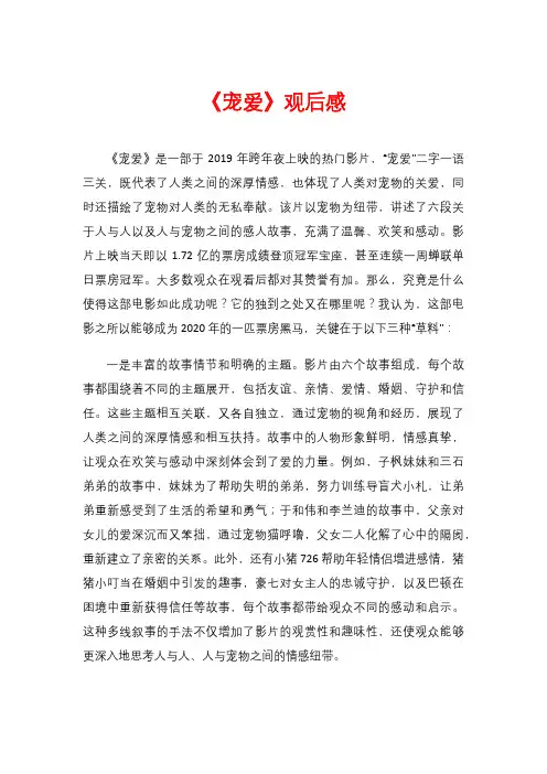 《宠爱》观后感