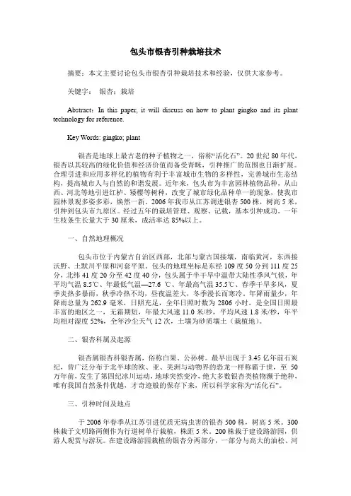 包头市银杏引种栽培技术