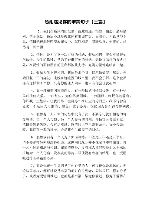 感谢遇见你的唯美句子【三篇】