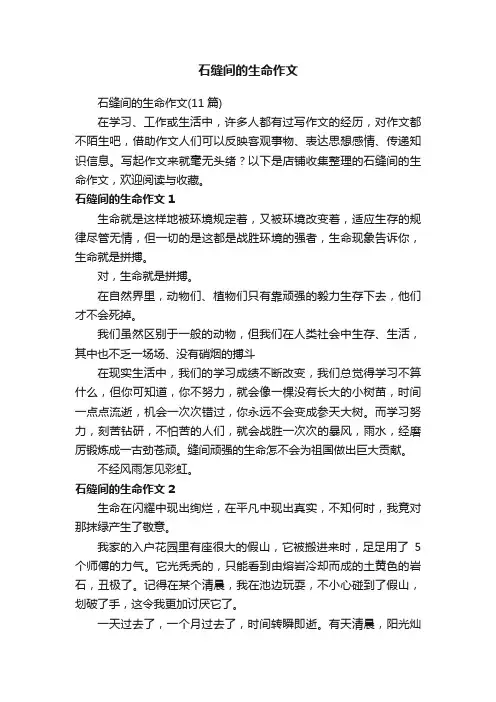 石缝间的生命作文
