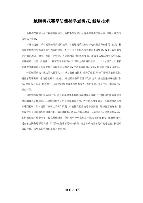 地膜棉花要早防倒伏早衰棉花,栽培技术