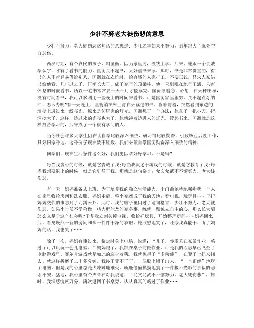 少壮不努老大徒伤悲的意思
