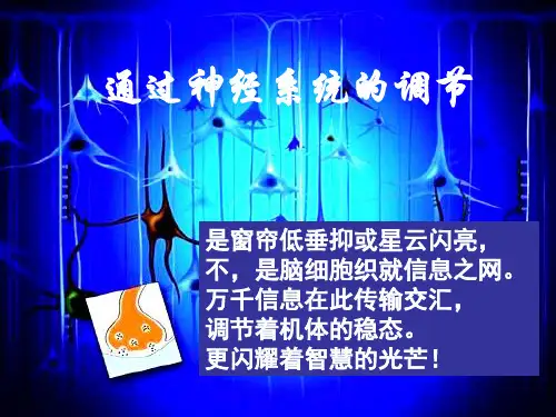 高中生物课件-2.1兴奋在神经纤维上的传导