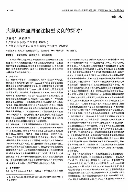 大鼠脑缺血再灌注模型改良的探讨