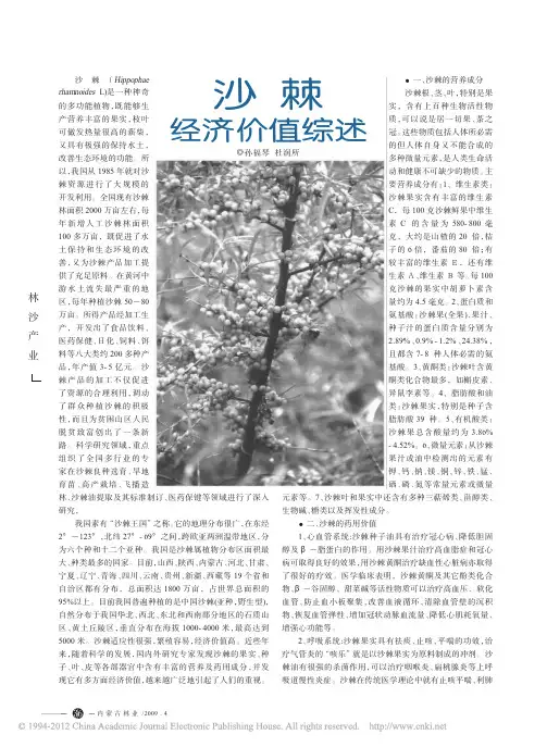 沙棘经济价值综述