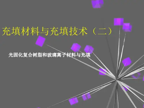 牙体牙髓病学：充填材料与充填技术PPT