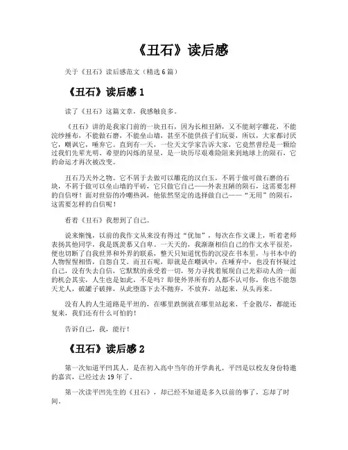 《丑石》读后感