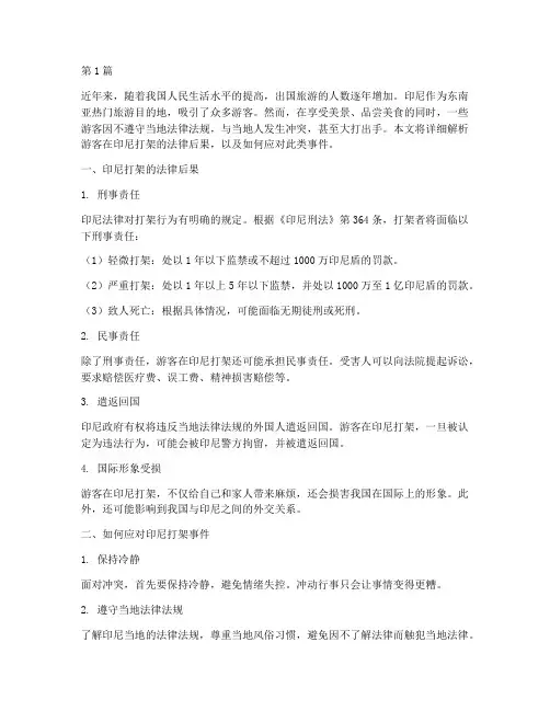 游客在印尼打架法律后果(3篇)