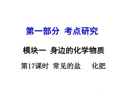 江苏中考化学一轮复习课件：第17课时 常见的盐 化肥