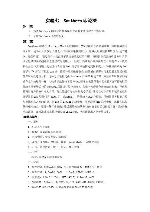 southern 印迹法