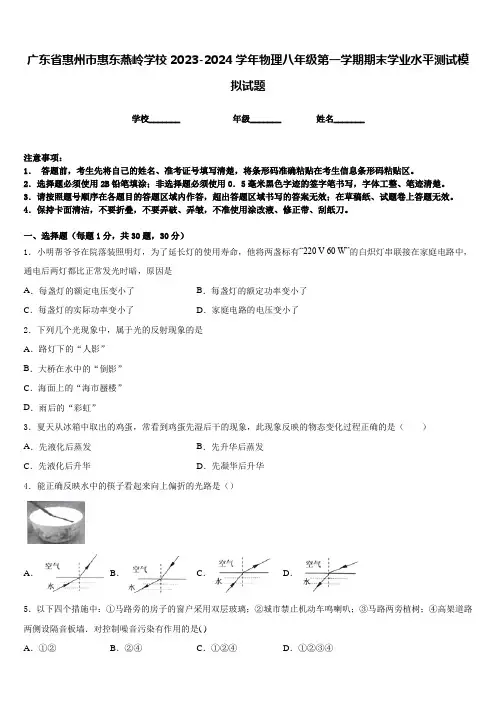 广东省惠州市惠东燕岭学校2023-2024学年物理八年级第一学期期末学业水平测试模拟试题含答案