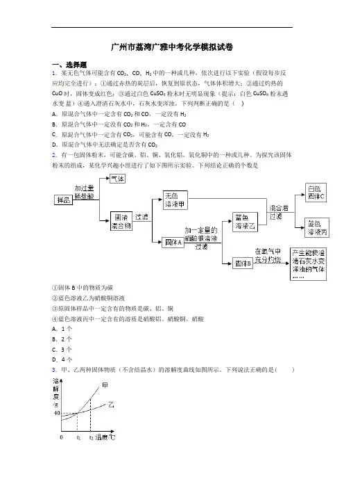 广州市荔湾广雅中考化学模拟试卷