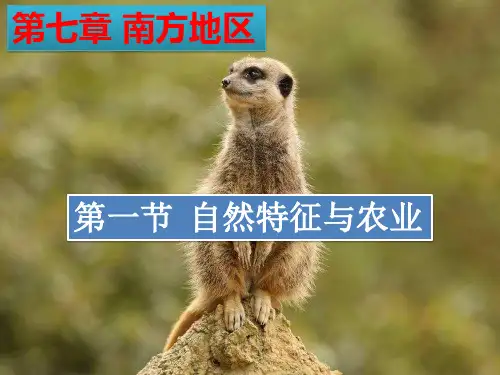 人教版人教版(八下)地理 自然特征与农业 课件 (共16张PPT)