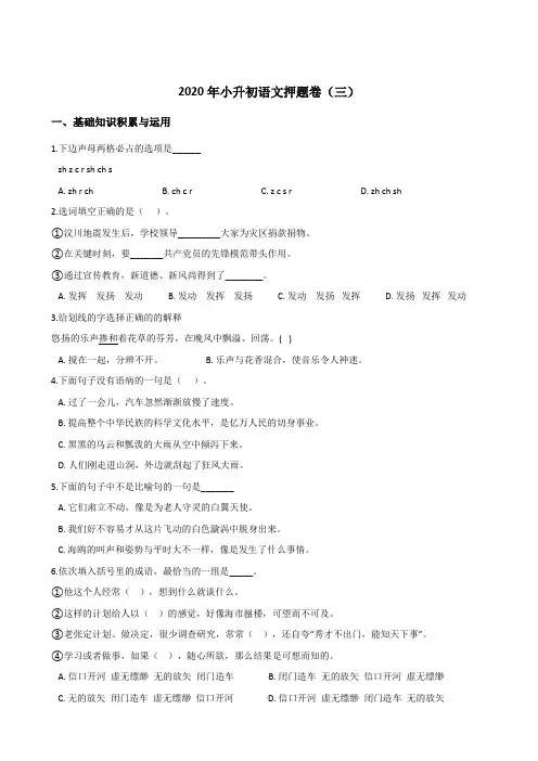 六年级下册语文试题-2020年小升初押题卷(三)人教部编版(含答案)