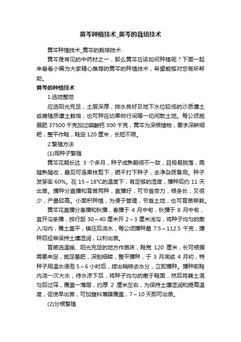 黄芩种植技术_黄芩的栽培技术