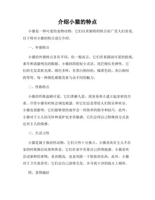 介绍小猫的特点