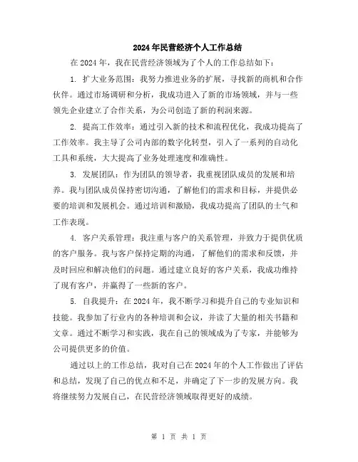 2024年民营经济个人工作总结