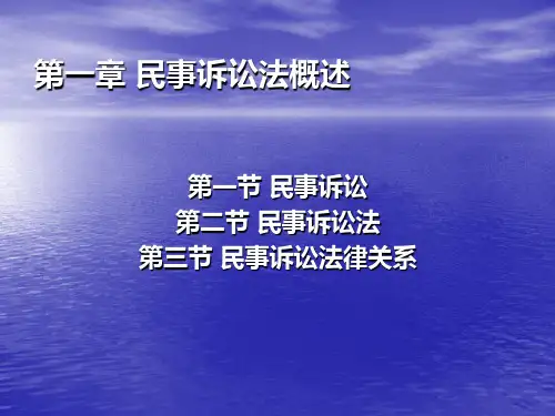 第一章  民事诉讼法