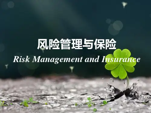 1 风险的特征和构成要素