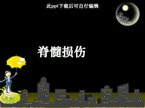 脊髓损伤ppt课件