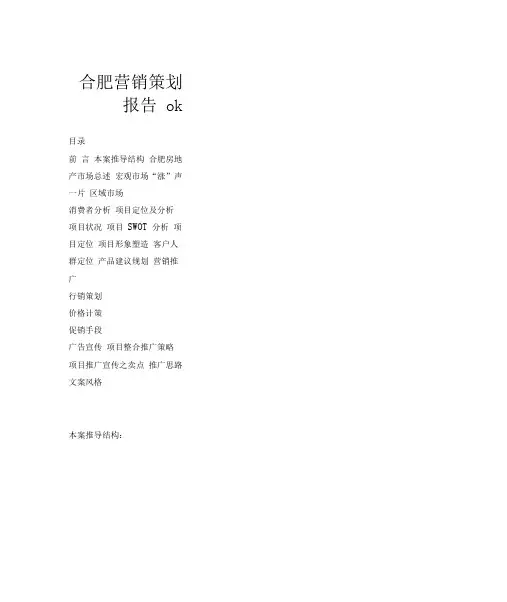 合肥营销策划报告ok