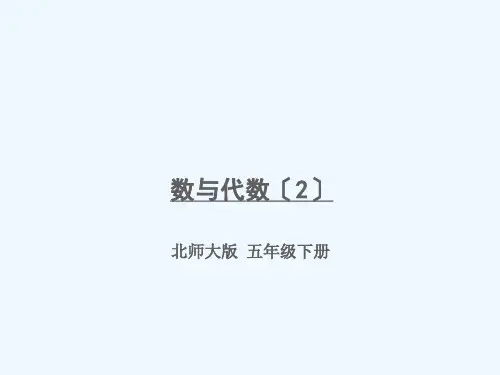 湖南省娄底市中心小学五年级数学下册总复习第2_3课时数与代数2课件北师大版